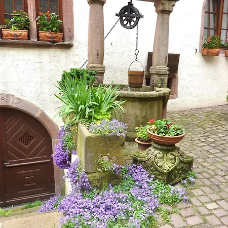 Chambre D'Hote Adrihof A La Cour De L'Abbaye D'Autrey Bed & Breakfast Riquewihr